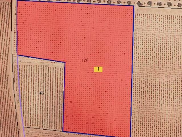 Finca Venta Ciudad Real