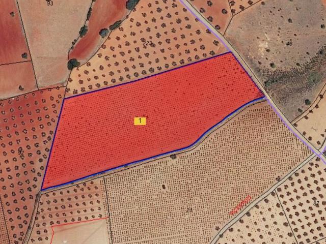 Finca Venta Ciudad Real