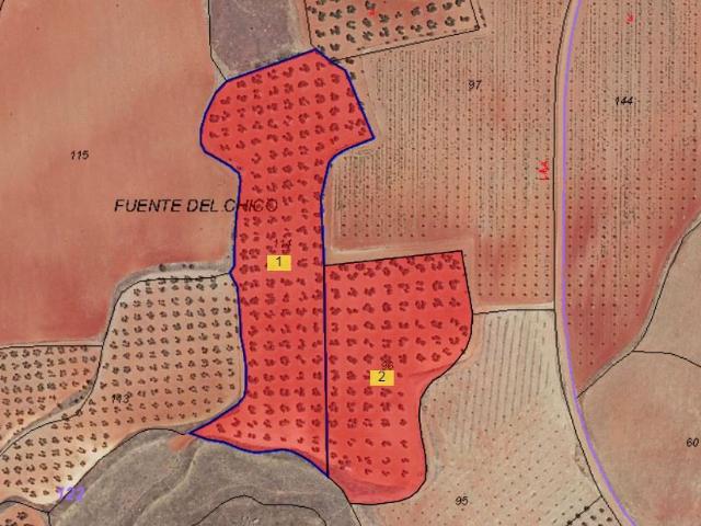 Finca Venta Ciudad Real