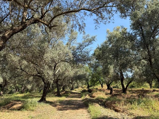 Finca Venta Granada
