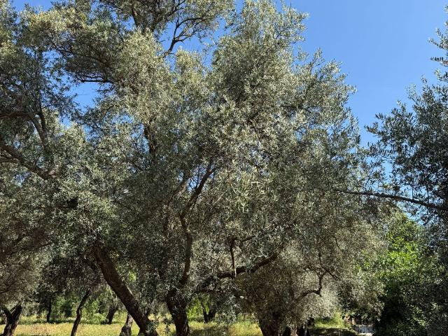 Terreno Venta Granada