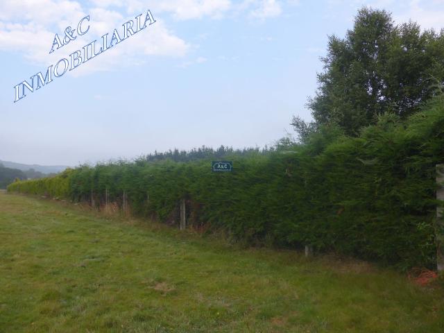 Finca Venta Lugo