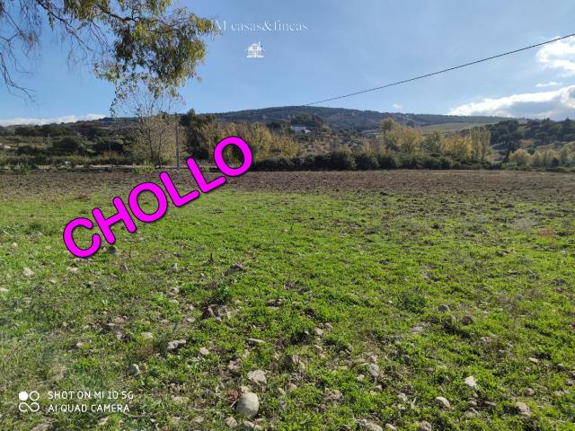 Finca Venta Málaga