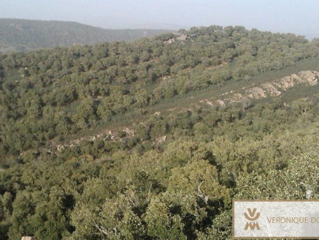 Finca Venta Málaga