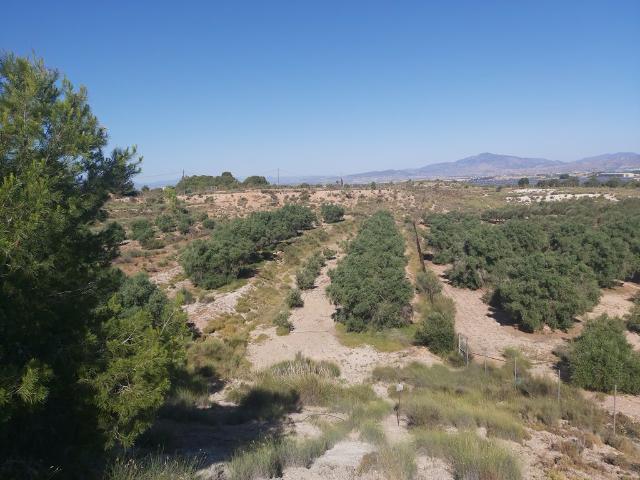 Finca Venta Murcia