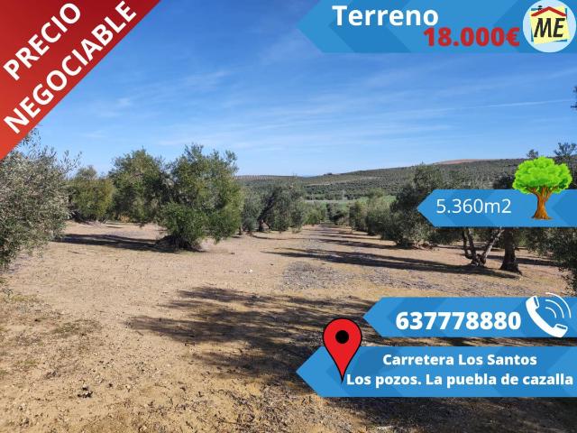 Finca Venta Sevilla