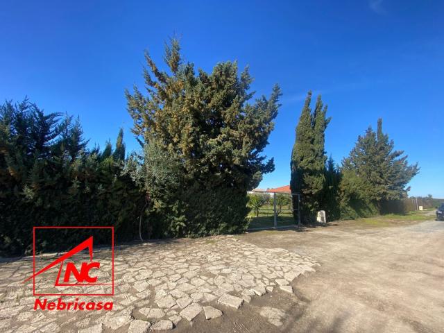 Finca Venta Sevilla