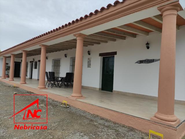 Finca Venta Sevilla