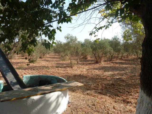Finca Venta Sevilla