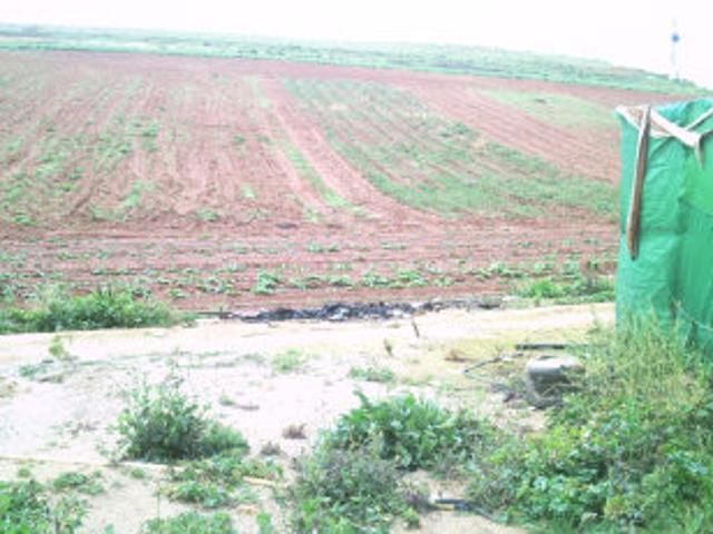 Finca Venta Sevilla