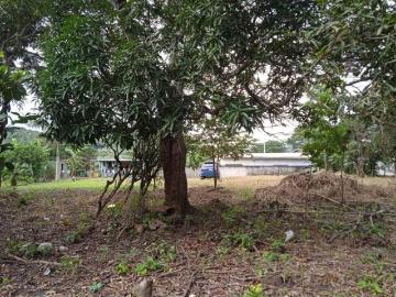 FINCA A LA VENTA CAÑAVERAL PENONOME
