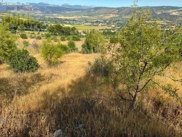 Finca a pocos minutos de Ronda