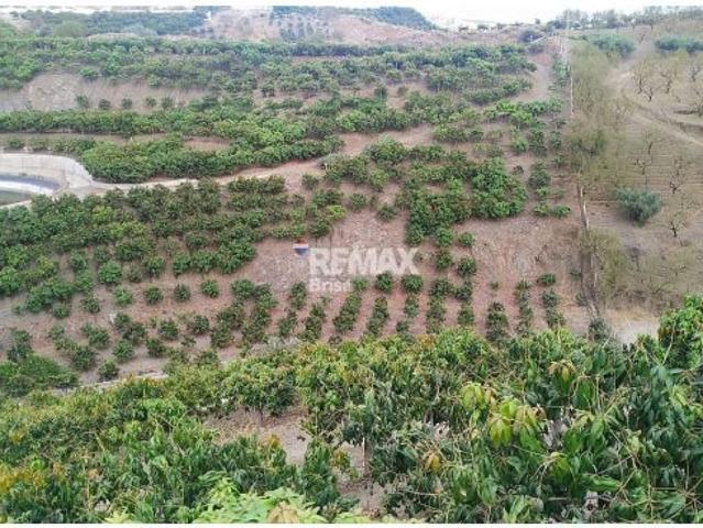 Finca Agrícola en Venta en Velez Malaga, Málaga
