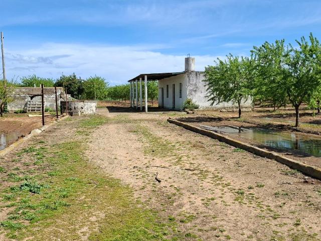 Finca Agricola rentable en Utrera – 25.757 m2 con Almendros, casa y pozo