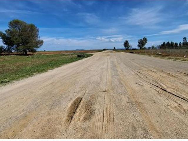 Finca Agricola rentable en Utrera – 25.757 m2 con Almendros, casa y pozo