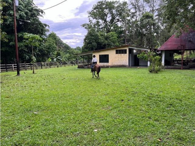Finca Agropecuaria en Venta Barinas 423HA