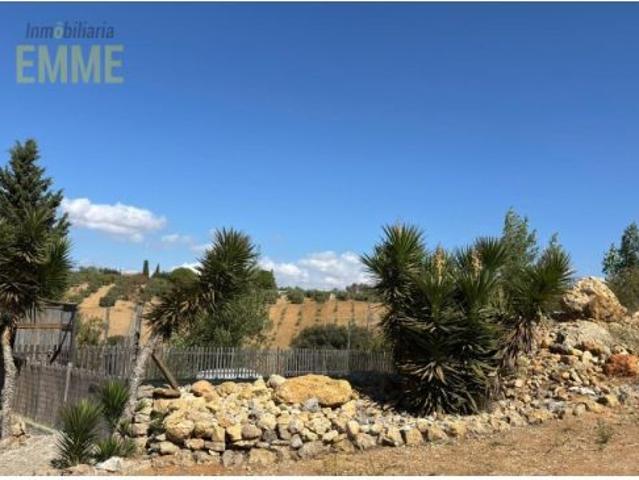 Finca andaluza en venta con piscinas junto al casco histórico de Ronda, a 50