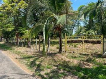 Hermosas Tierras de Cultivo Arboladas en Las Lajas San Felix Panamá