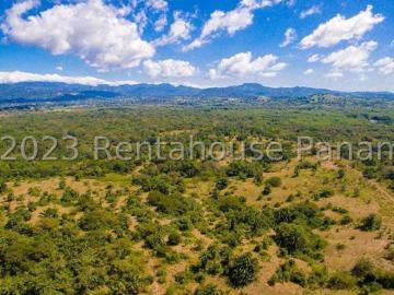 Finca Avenida entrada de Dupi interamericana, SanFelix