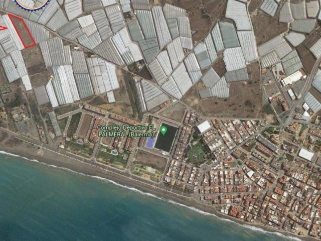 FINCA BALDIA EN BALERMA