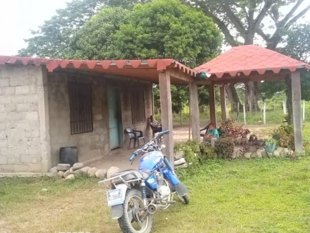 FINCA CASERIO GARABATO GUANARITO VE32 008CG GMON