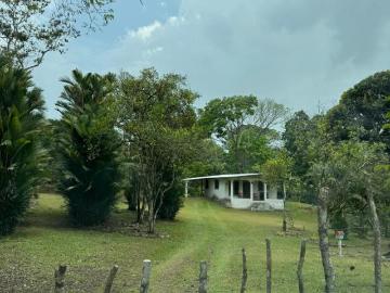 FINCA CENTRICA CON SIEMBROS FRUTALES