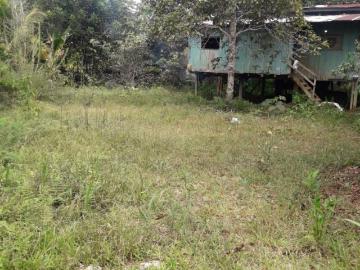Finca cerca de Sevilla en Venta Finca en Venta en Lago Agrio Nueva Loja Sevilla