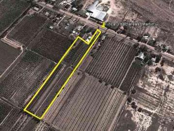 Finca con 3 hectáreas de ciruelas con estructura antigranizos nueva!