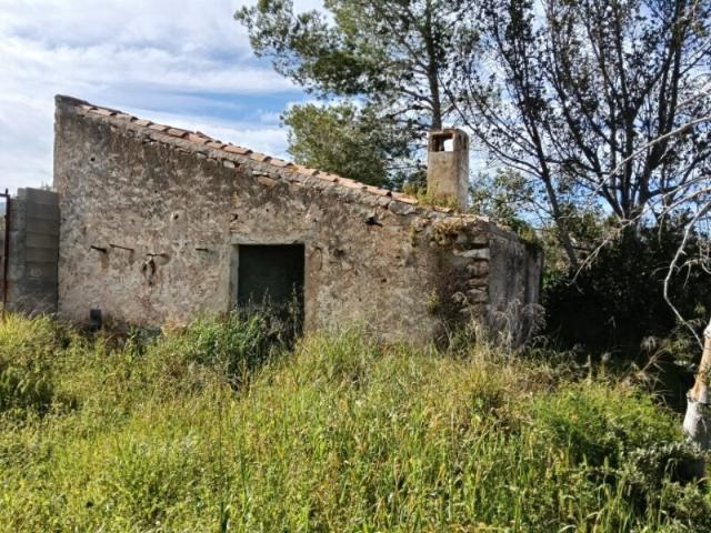 finca con casa y balsa