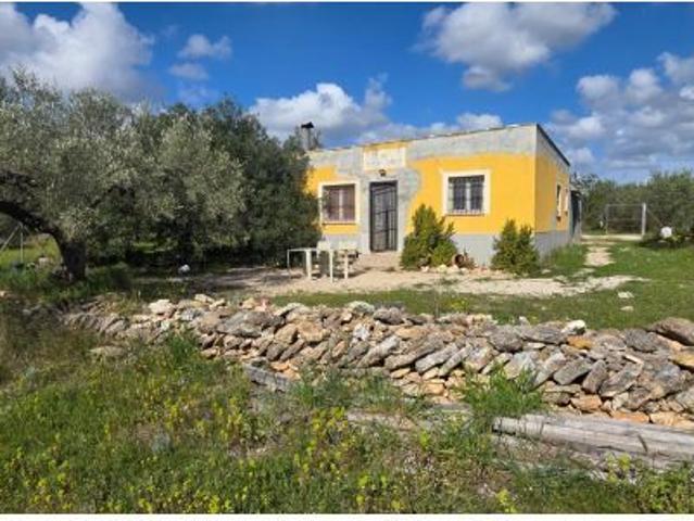 Finca con casa, agua y luz a 4,5 km de las mejores calas