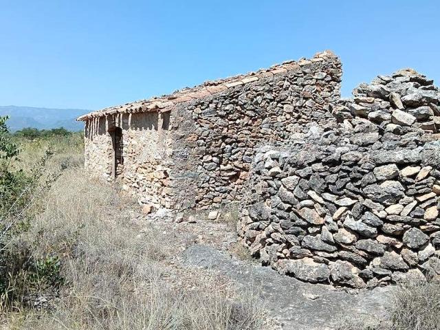 FINCA CON CASA DE PIEDRA
