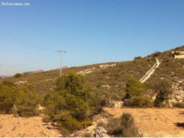 FINCA CON CASA REFORMADA Y BODEGA EN EL SEMISOTANO