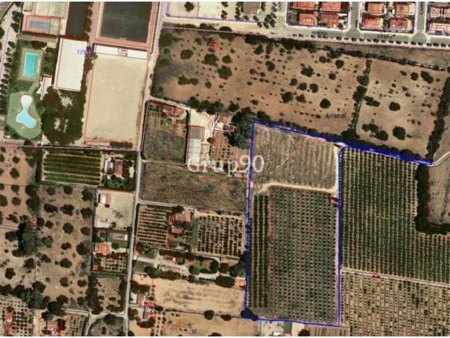 Finca con caseta de campo muy cerca del pueblo