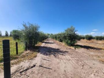 Finca con grandes construcciones de depositos, establo,tambo y criadero