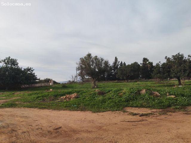 FINCA CON DOS VIVIENDAS Y ALMACEN EN LA MINA ALBUJON