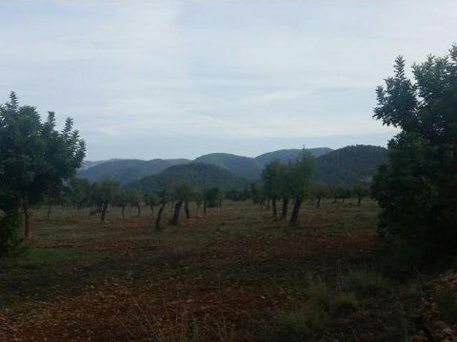 Finca con licencia