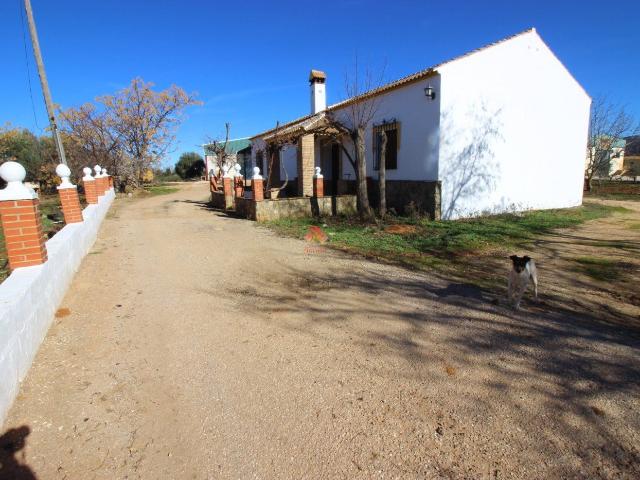 FINCA CON NAVE Y VIVIENDA MUY PRÓXIMA A RONDA
