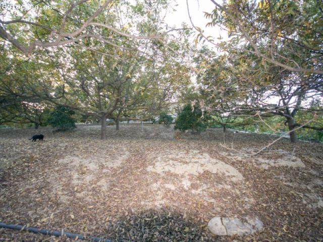 FINCA CON PISCINA Y ALMACENES