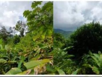 Finca con Titulo en Hornito 1.06 HA El Valle de Hornito, Gualaca
