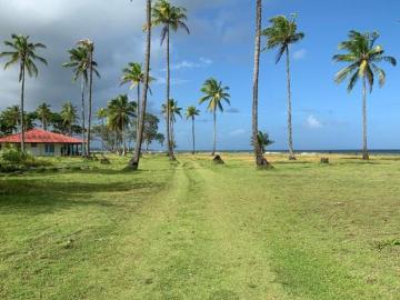 Finca Colon, Costa Abajo, 7km de frente al mar Caribe y rio Indio, 1,200 ha