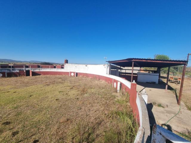 ¡Finca de 40 Hectáreas en Galisteo! Ideal para para Proyectos de Inversión