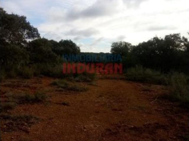 Finca de 554 ha con 60 ha de labor secano, resto de monte en Alhambra Ciudad