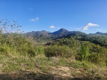 Finca de 5 hectáreas con frente a carretera asfaltada, servicios y vistas panorámicas? A solo 5 minutos del centro de la pintada, ofrecida en $85,000
