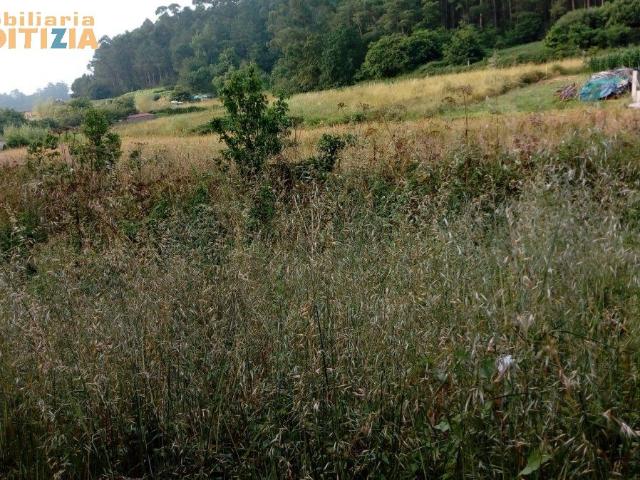 FINCA DE 600M