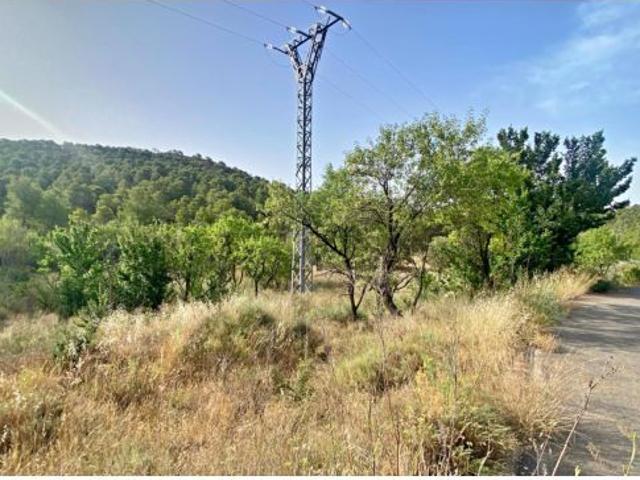 FINCA DE 6 Hectáreas con CASA CORTIJO para reformar