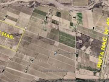 Finca de 74 has incultas listas para plantar en Alto Ugarteche
