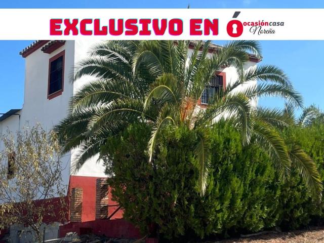 Finca de 7 Fanegas de olivar marteño en Espejo: Un Refugio Rural Único