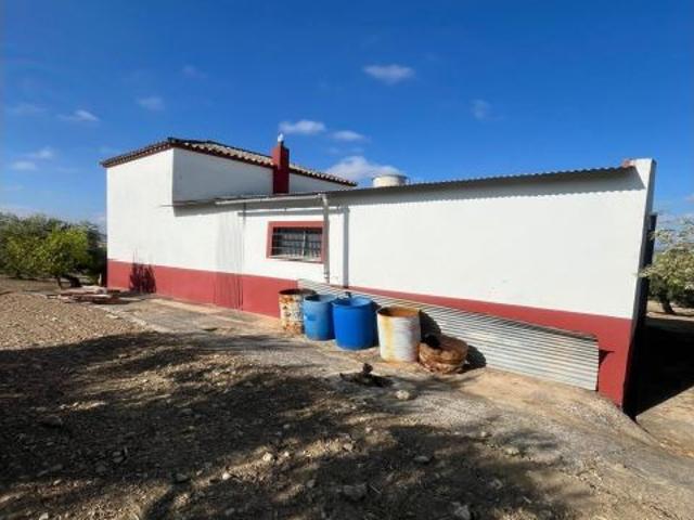 Finca de 7 Fanegas de olivar marteño en Espejo: Un Refugio Rural Único