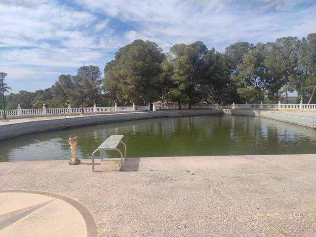 Finca de 1000 m2 en venta Torrevieja, Alicante, Provincia de Alicante, Valencia