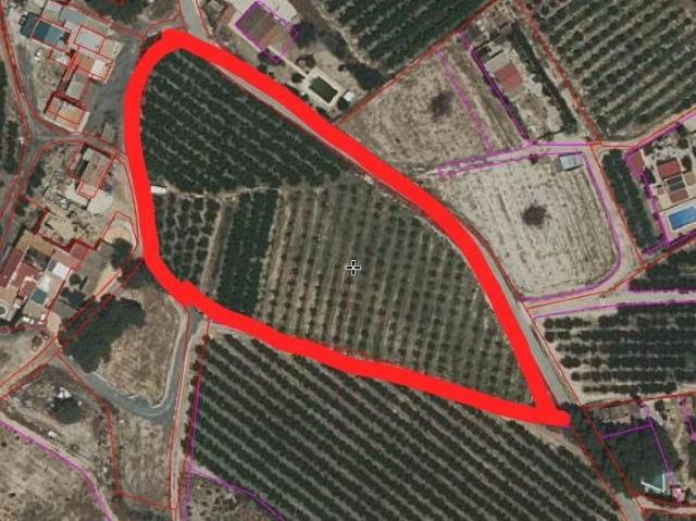 Finca de 11 tahúllas en La Veredilla con riego, luz y plantación en producción